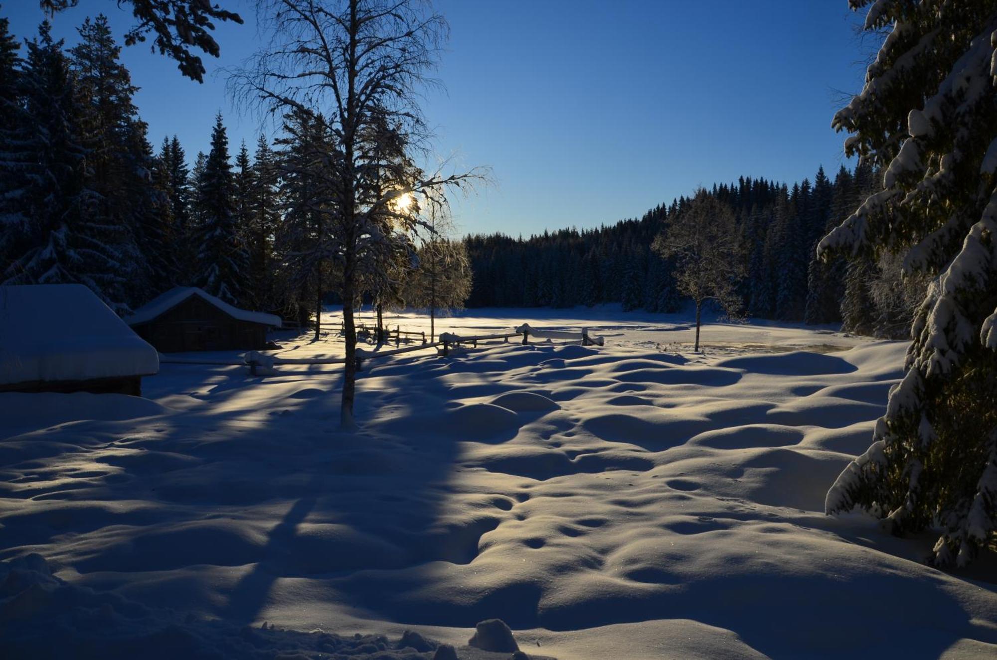 Vila The Old Logging Camp Yttermalung Exteriér fotografie